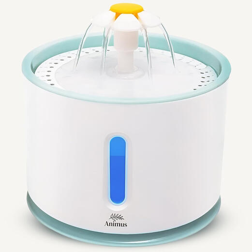 Bebedouro Elétrico | Capacidade 2,4 L