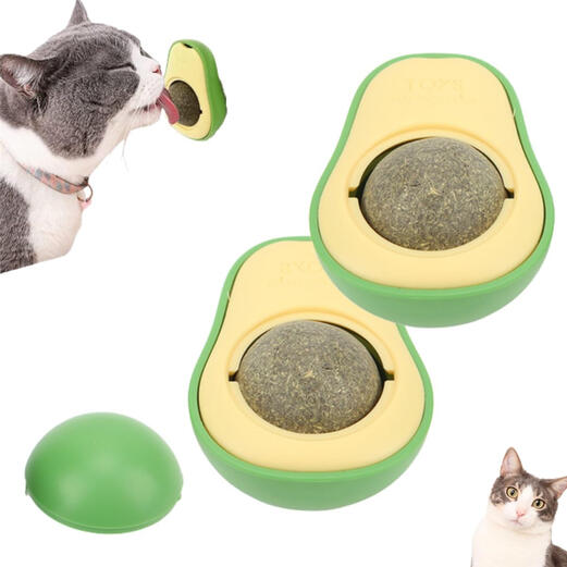 Abacate com Catnip
